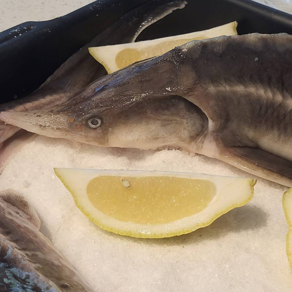 Большое изображение
