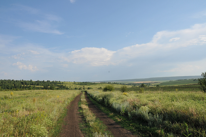 В полях